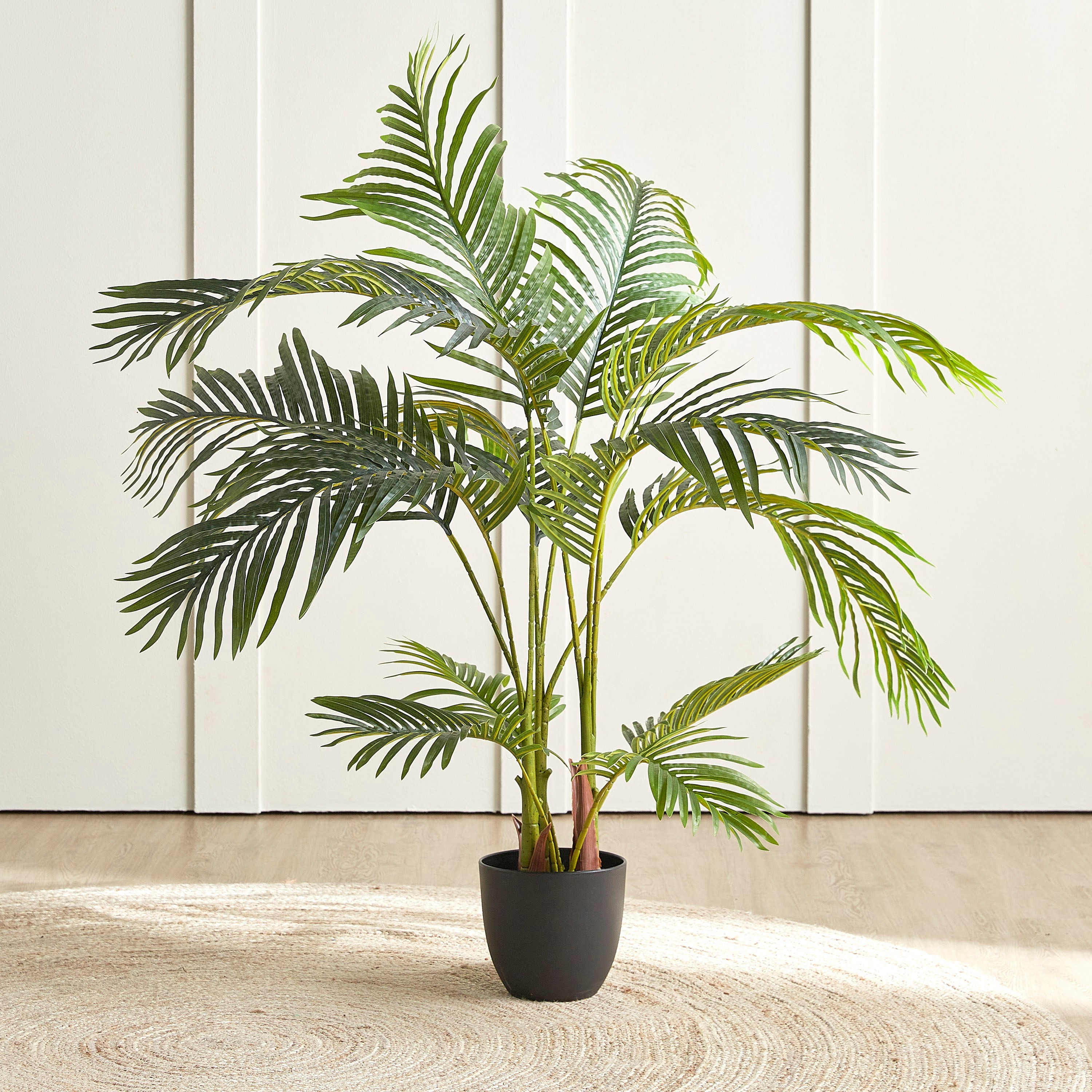 Areca Palm Plant in Pot - 120 cm-household-gardenandoutdoor-trees-image-1