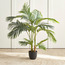 Areca Palm Plant in Pot - 120 cm-household-gardenandoutdoor-trees-image-1