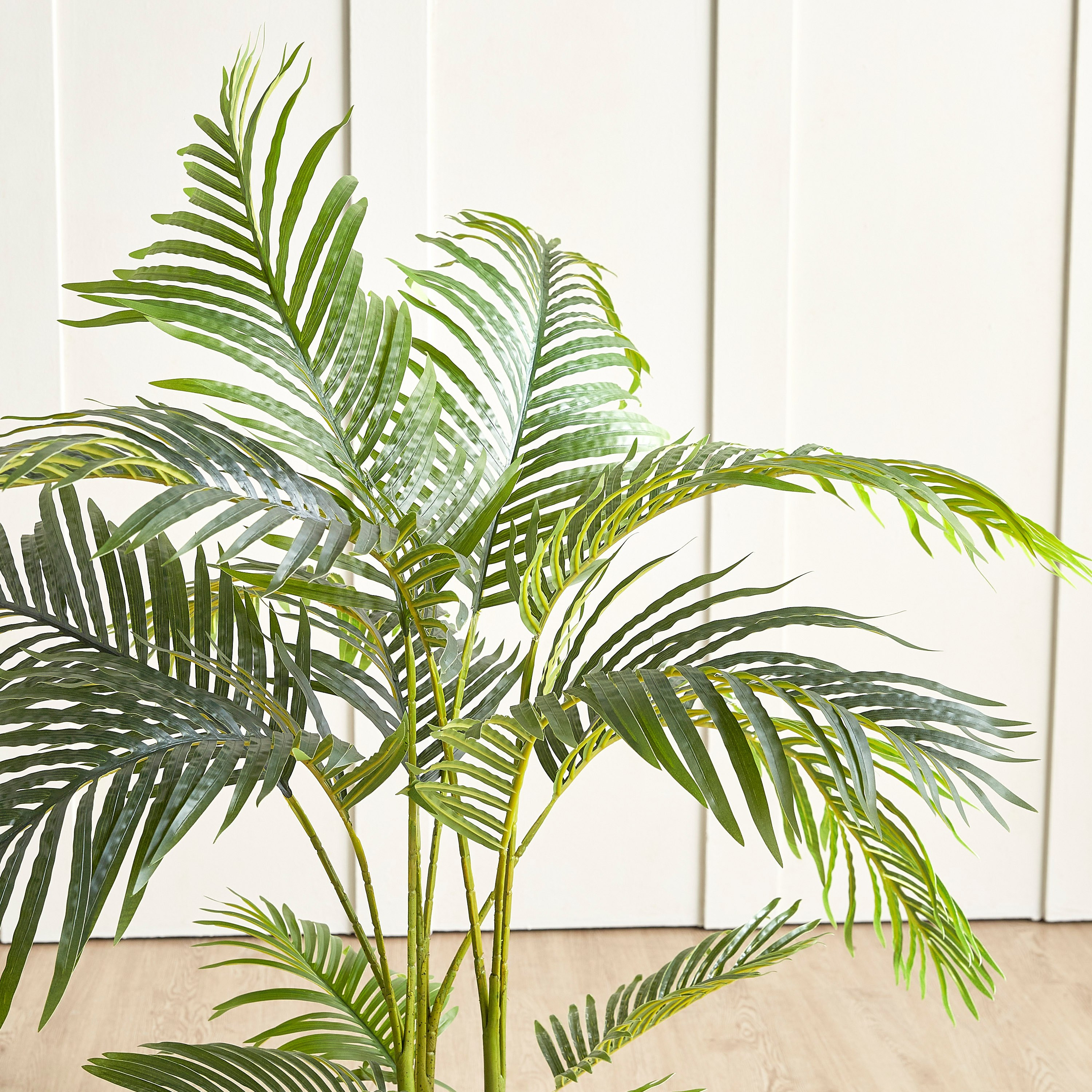 Areca Palm Plant in Pot - 120 cm