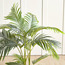 Areca Palm Plant in Pot - 120 cm-household-gardenandoutdoor-trees-image-2