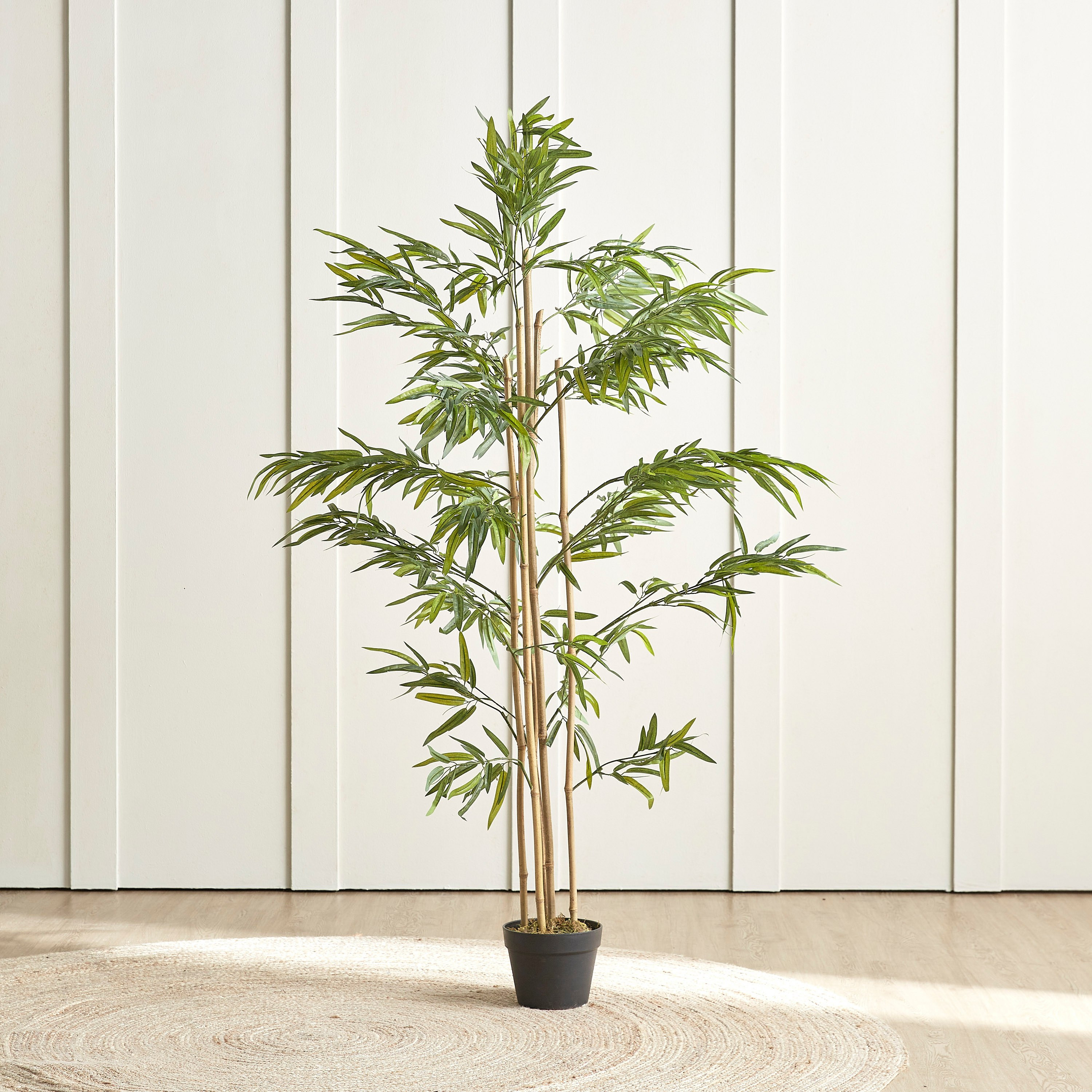 Bamboo Tree in Pot - 155 cm-household-gardenandoutdoor-trees-image-1