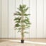 Bamboo Plant in Pot - 220 cm-household-gardenandoutdoor-trees-image-1