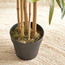 Bamboo Plant in Pot - 220 cm-household-gardenandoutdoor-trees-image-3