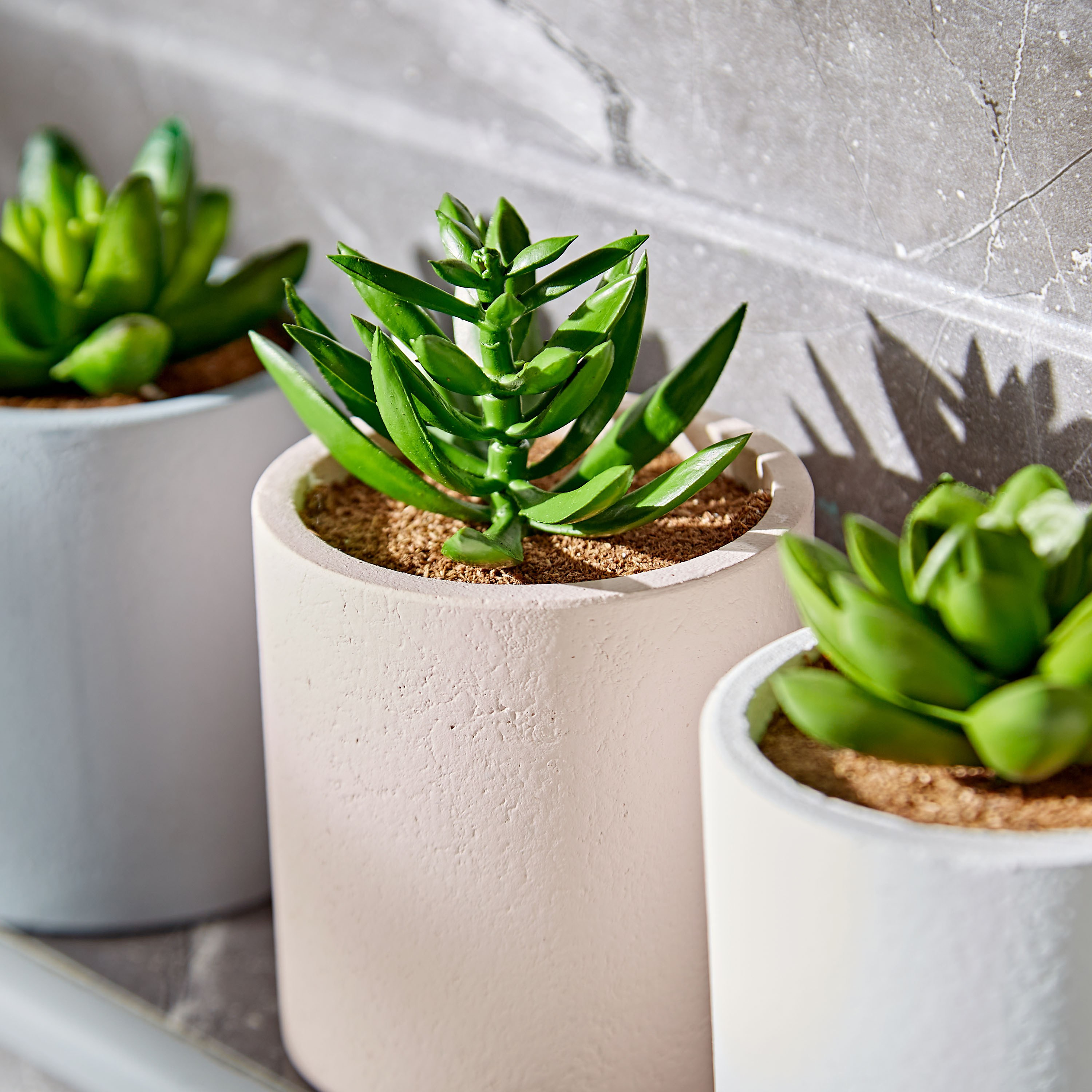 Succulent 3-Piece Plant in Pot-household-gardenandoutdoor-artificialplants-succulents-image-3