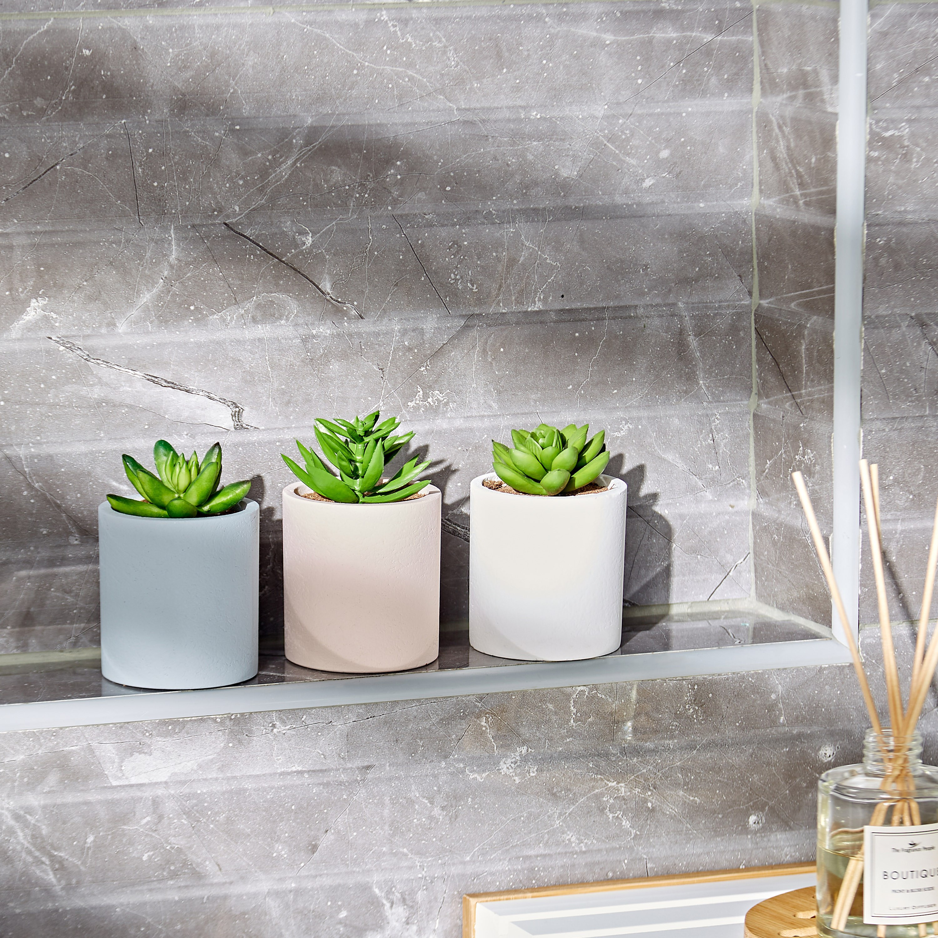 Succulent 3-Piece Plant in Pot-household-gardenandoutdoor-artificialplants-succulents-image-4