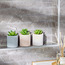 Succulent 3-Piece Plant in Pot-household-gardenandoutdoor-artificialplants-succulents-image-4