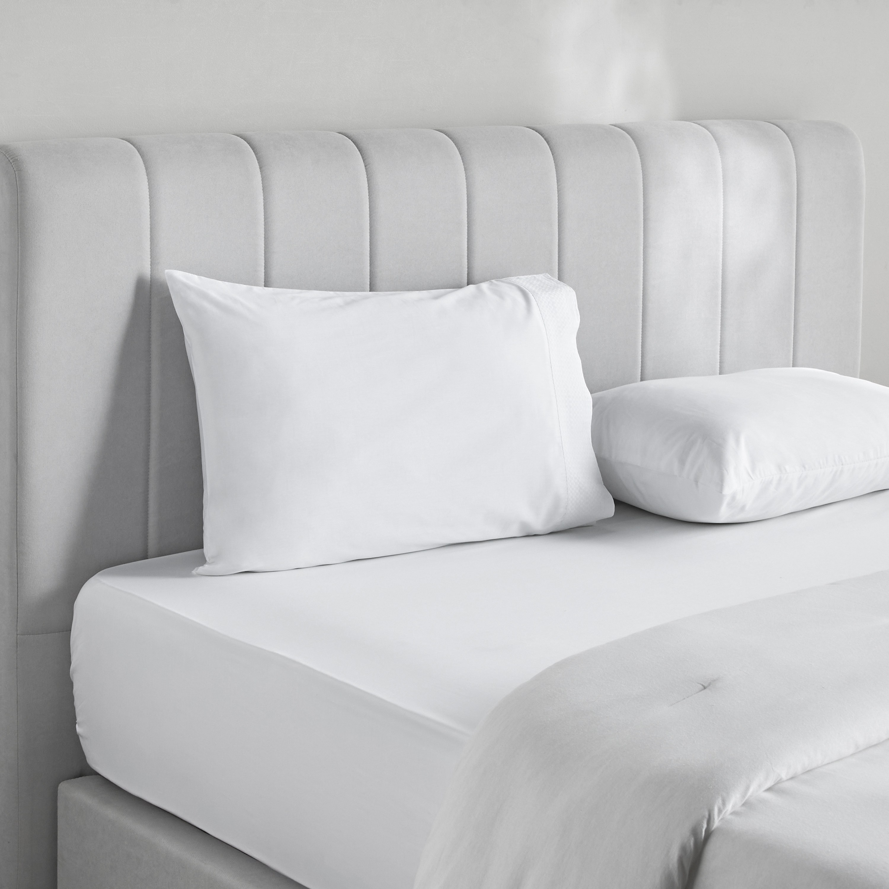 شرشف مطاطي كينج قطن بيركال بعدد خيوط 325- إتيرنتي- 180x205 سم-household-bedding-sheetsandpillowcases-fittedsheets-image-2