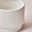 إناء زرع سيراميك - إيل - 17 سم-household-gardenandoutdoor-potsandplanters-planters-image-2