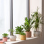 إناء زرع سيراميك - إيل - 17 سم-household-gardenandoutdoor-potsandplanters-planters-image-1
