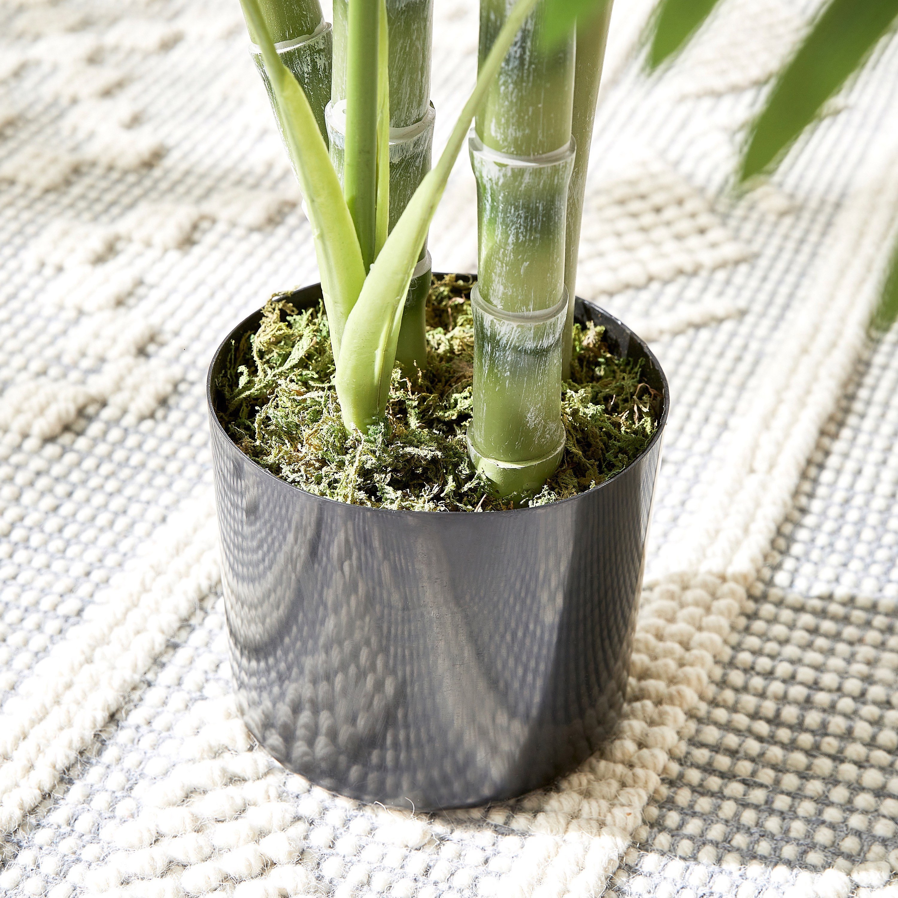 Areca Palm Plant in Pot - 120 cm-household-gardenandoutdoor-trees-image-2