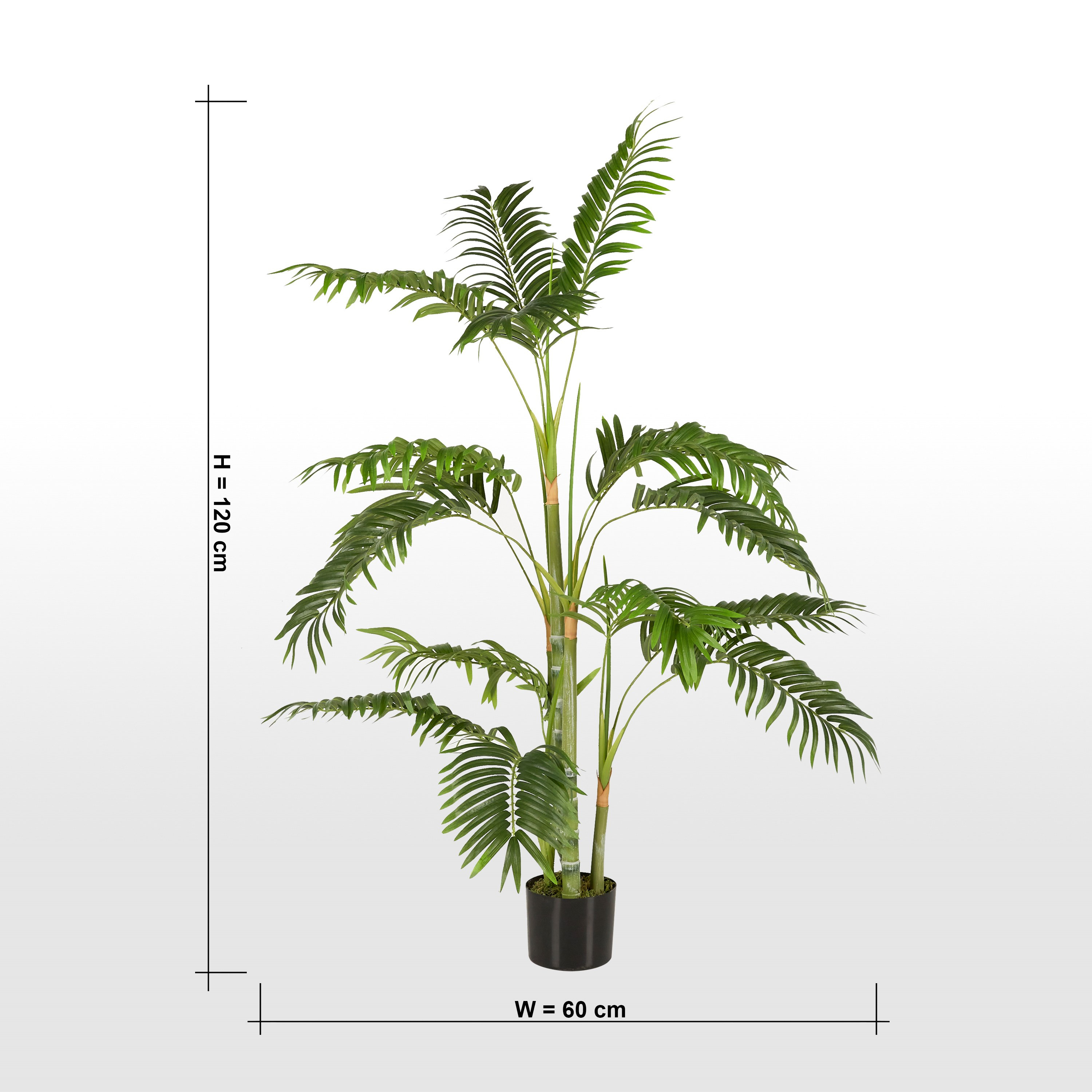 Areca Palm Plant in Pot - 120 cm-household-gardenandoutdoor-trees-image-5