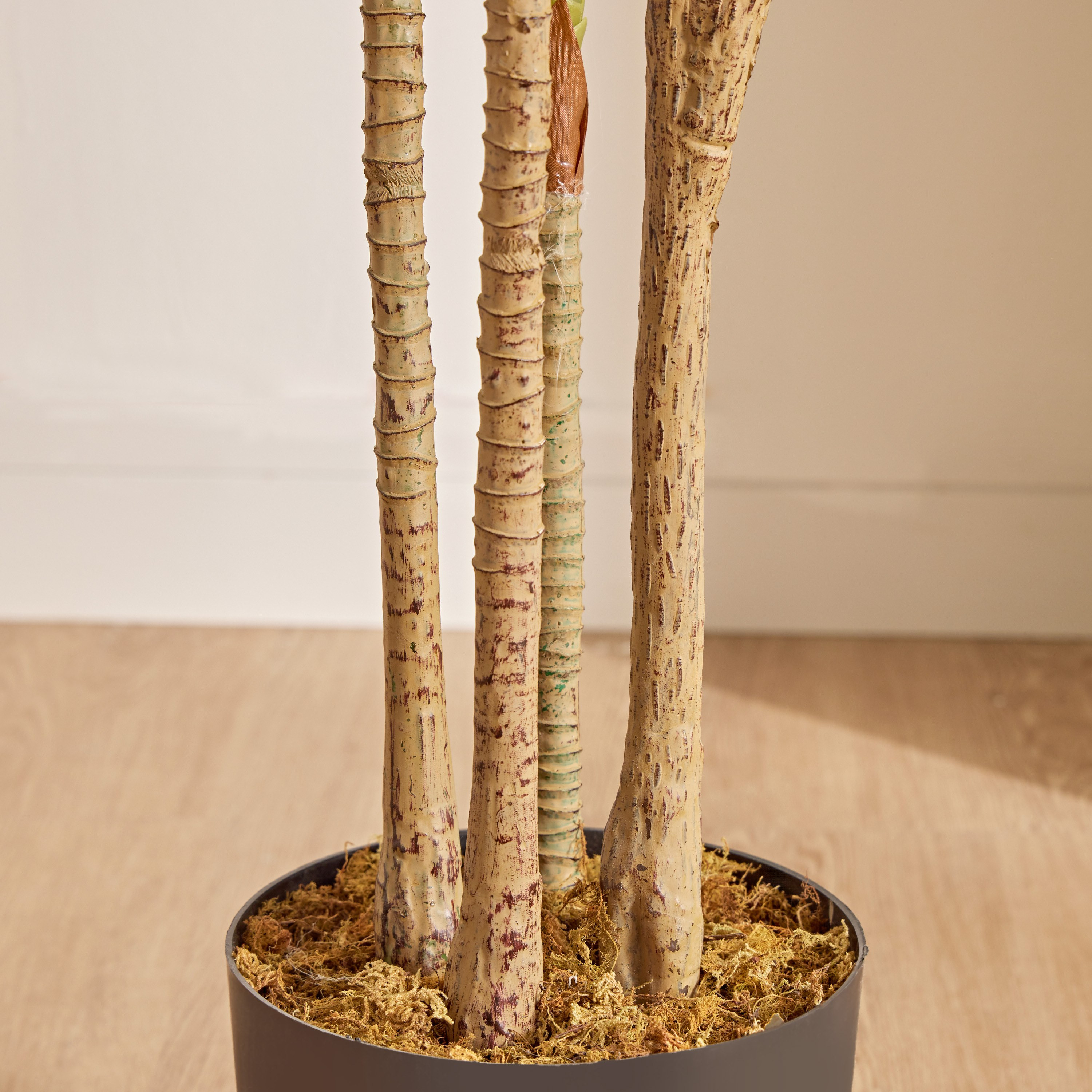 Dracaena 3-Branches Tree - 150 cm-household-gardenandoutdoor-trees-image-3