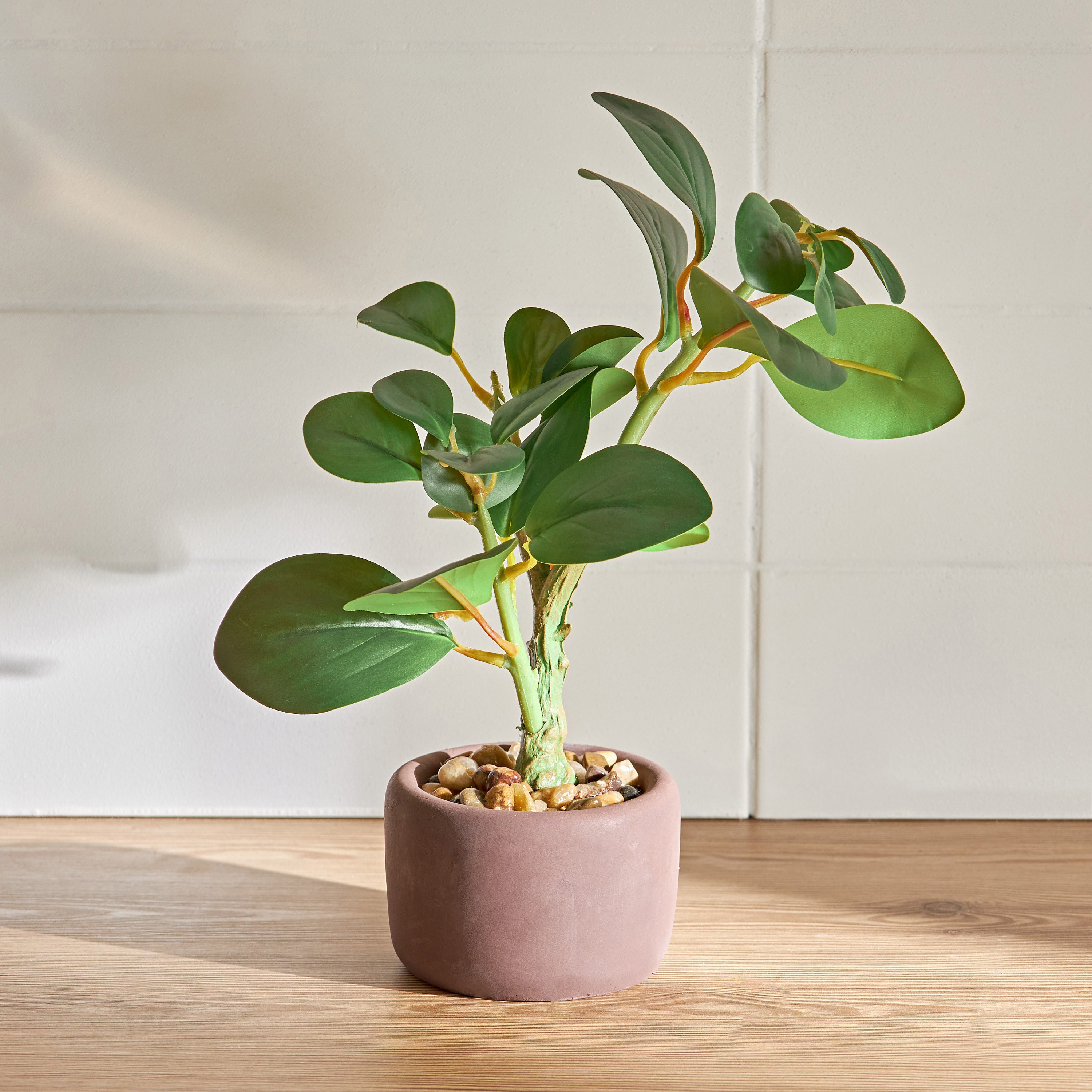 Jasper Plant with Pot - 36 cm-household-gardenandoutdoor-artificialplants-pottedplants-image-1