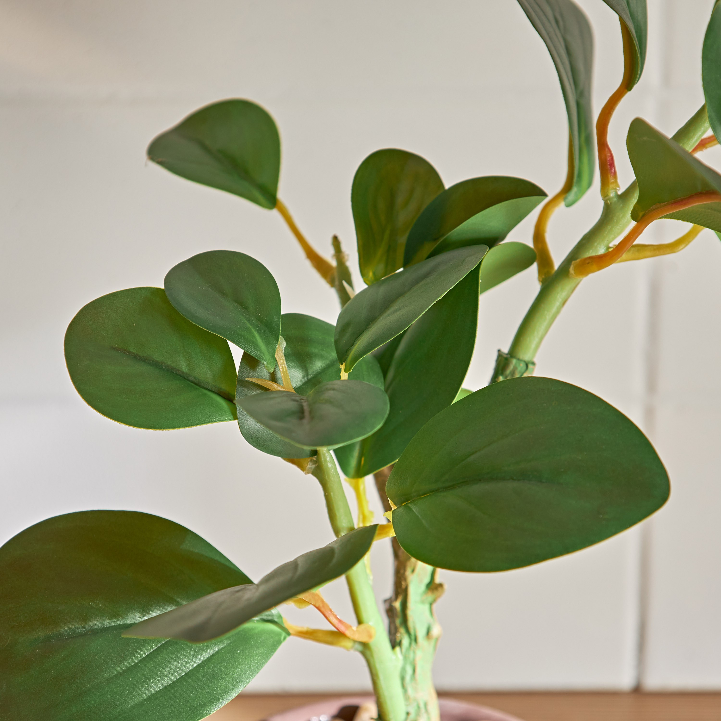 Jasper Plant with Pot - 36 cm-household-gardenandoutdoor-artificialplants-pottedplants-image-2