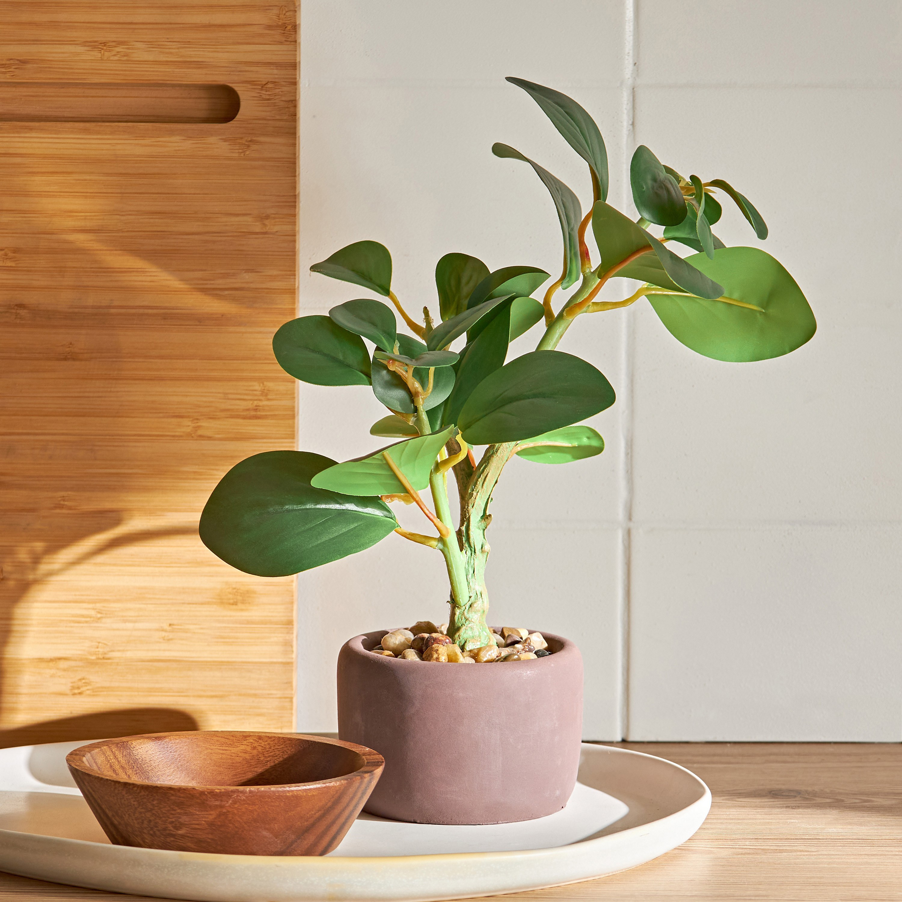 Jasper Plant with Pot - 36 cm-household-gardenandoutdoor-artificialplants-pottedplants-image-3