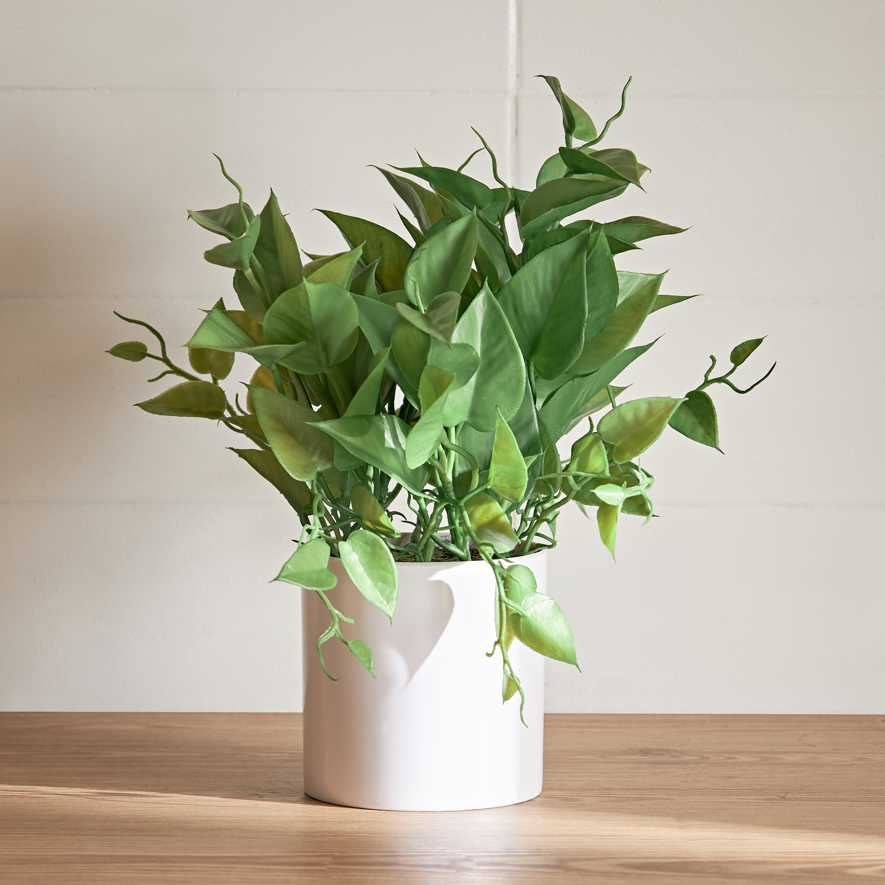 Ivy Green Ceramic Pot - 33 cm-household-gardenandoutdoor-artificialplants-pottedplants-image-1