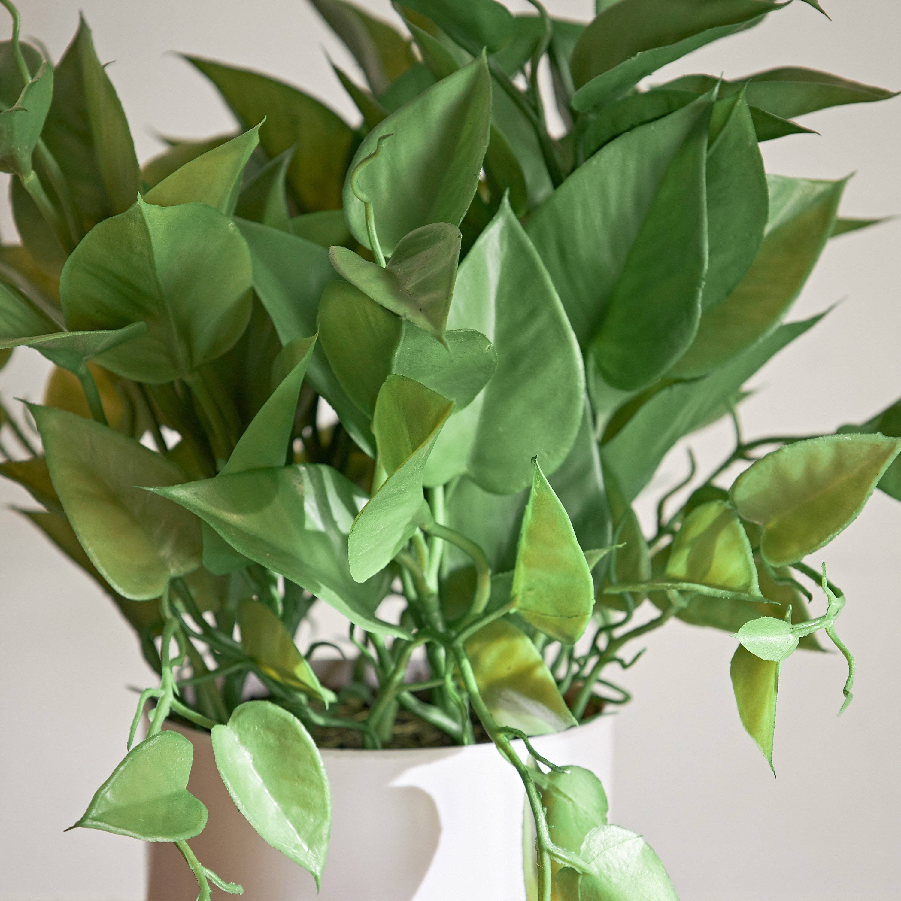 Ivy Green Ceramic Pot - 33 cm-household-gardenandoutdoor-artificialplants-pottedplants-image-2