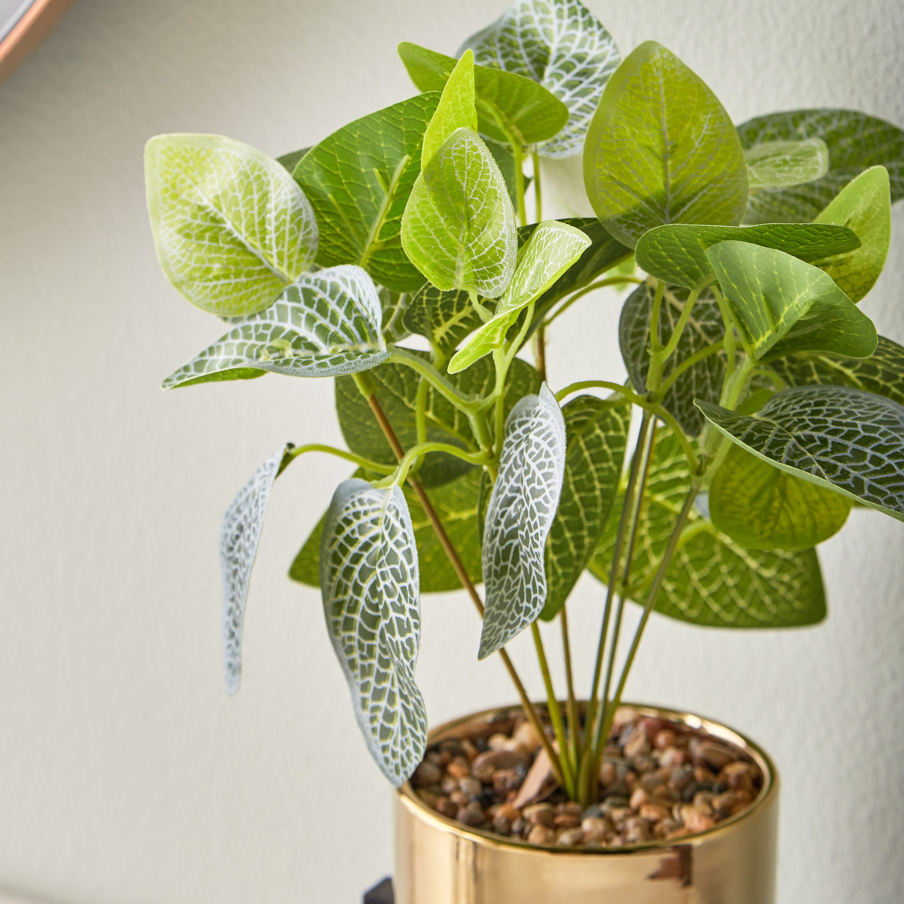Fittonia Plant in Pot - 31 cm-household-gardenandoutdoor-artificialplants-pottedplants-image-2