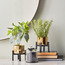 Fittonia Plant in Pot - 31 cm-household-gardenandoutdoor-artificialplants-pottedplants-image-4