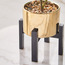 Fiddle Leaf Fig Plant in Pot - 31 cm-binpromo_ALLBANKS_OMN_14032025-image-3