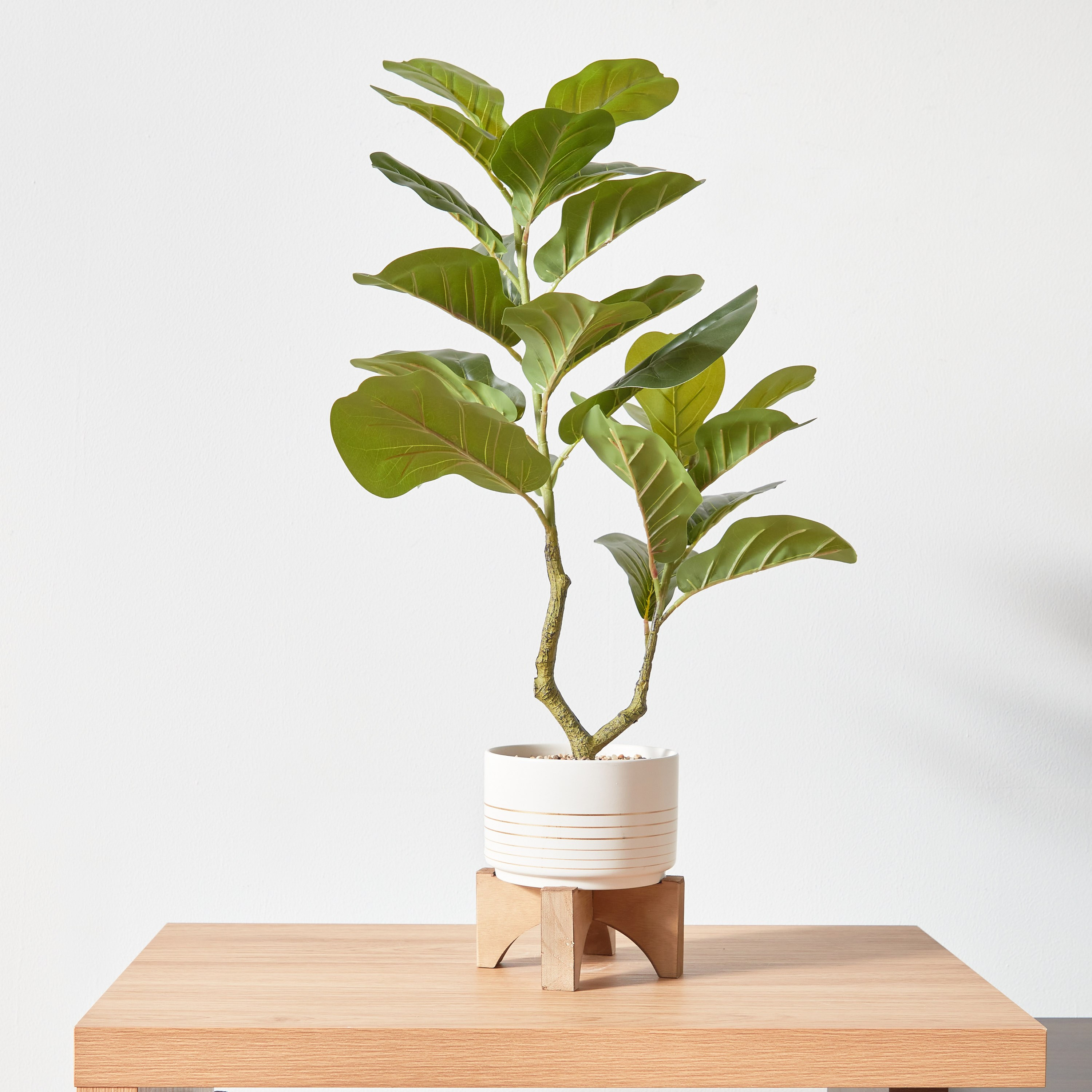 Fiddle Leaf Fig Plant in Pot - 81 cm-household-gardenandoutdoor-artificialplants-pottedplants-image-1