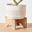 Fiddle Leaf Fig Plant in Pot - 81 cm-binpromo_ALLBANKS_OMN_14032025-image-2