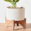 Fiddle Leaf Fig Plant in Pot - 41 cm-household-gardenandoutdoor-artificialplants-pottedplants-image-2