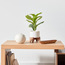 Fiddle Leaf Fig Plant in Pot - 41 cm-household-gardenandoutdoor-artificialplants-pottedplants-image-4