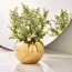 نبتة أوكالبتوس في وعاء - 31 سم-household-gardenandoutdoor-artificialplants-pottedplants-image-3