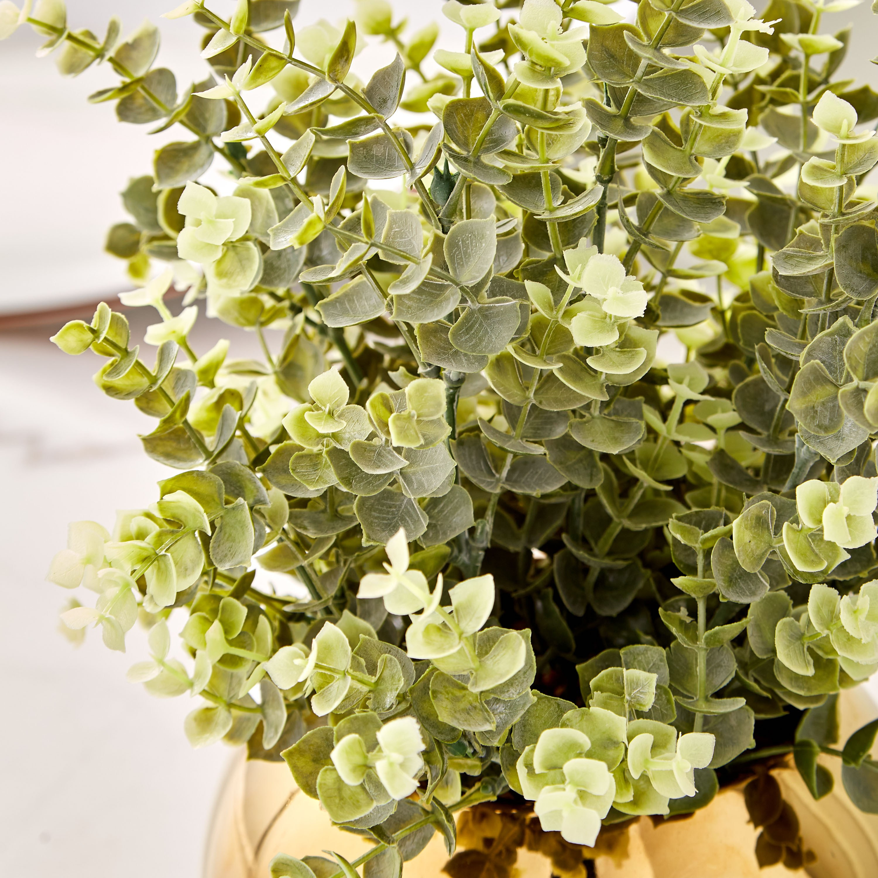 Eucalyptus Plant with Pot - 31 cm-household-gardenandoutdoor-artificialplants-pottedplants-image-2