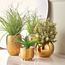 نبتة أوكالبتوس في وعاء - 31 سم-household-gardenandoutdoor-artificialplants-pottedplants-image-1