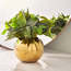 Ivy Plant with Pot - 36 cm-household-gardenandoutdoor-artificialplants-pottedplants-image-1