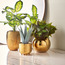 Ivy Plant with Pot - 36 cm-household-gardenandoutdoor-artificialplants-pottedplants-image-3