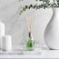 Aladdino White Musk Reed Diffuser - 100 ml-household-homefragrance-reeddiffusers-image-4