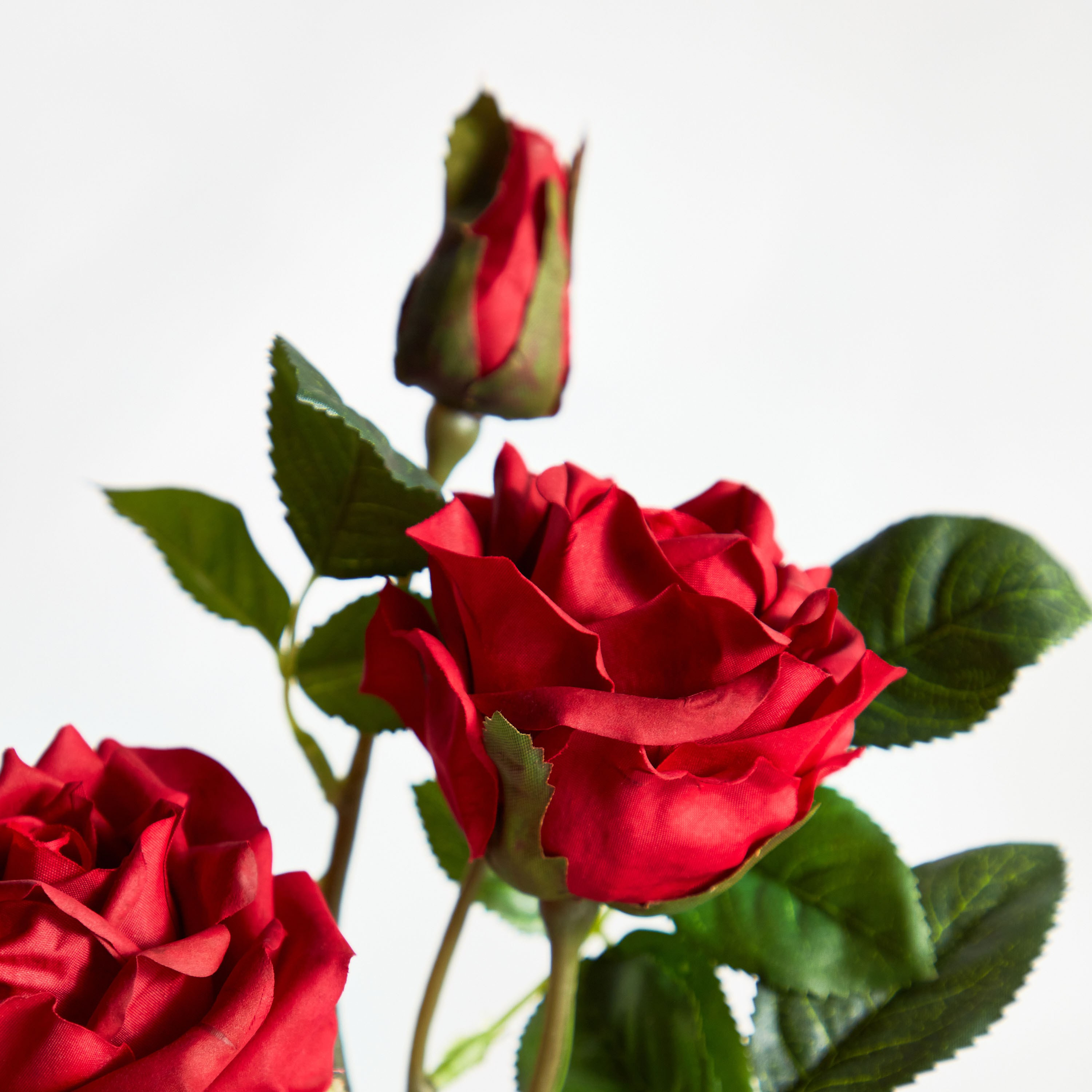 غصن زهرة الكرنب - ريل تاتش - 79 سم-household-gardenandoutdoor-artificialflowersandplants-stems-image-2