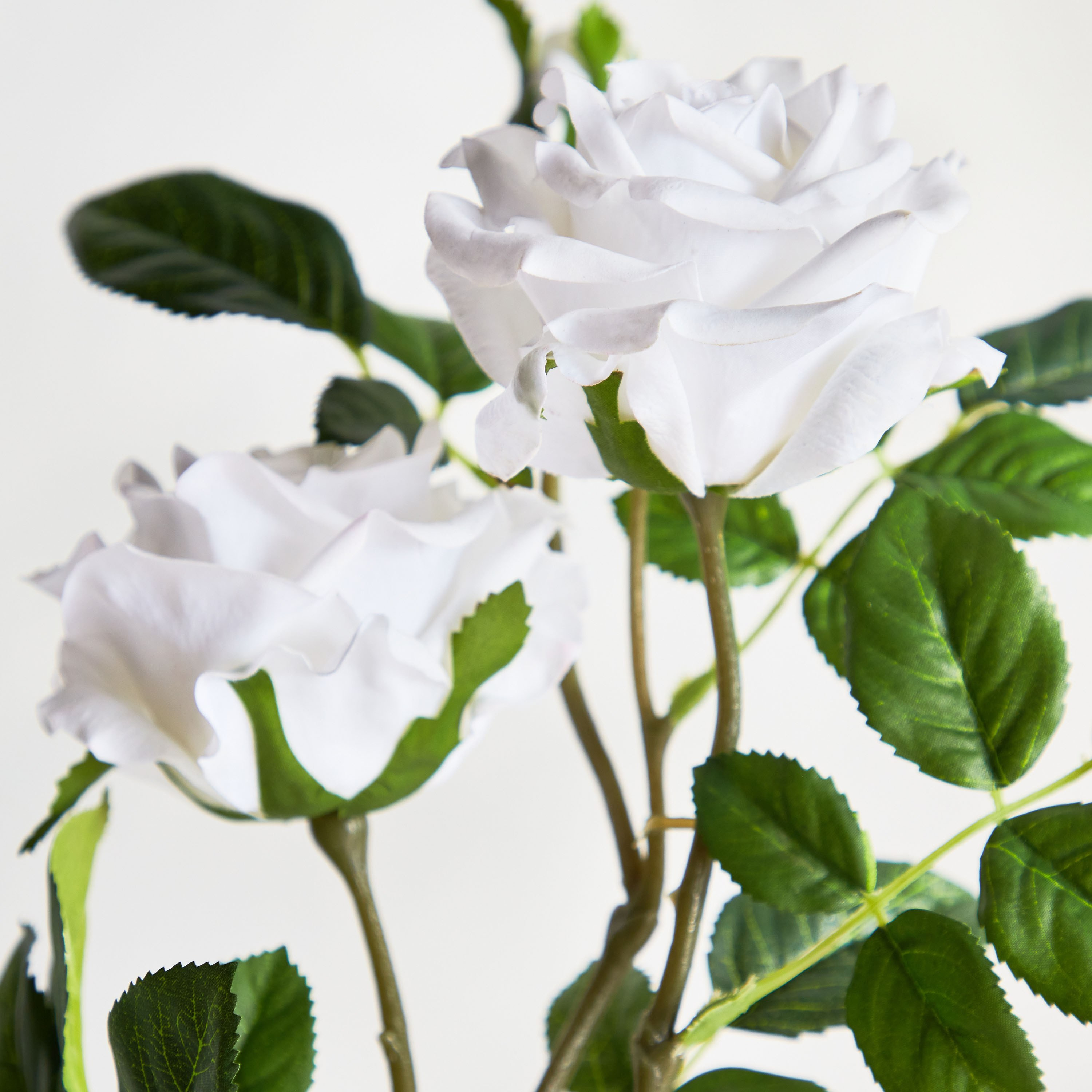 Real Touch Pongee Cabbage Rose Flower Stem - 79 cm-household-gardenandoutdoor-artificialflowersandplants-stems-image-2