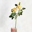 Real Touch Pongee Cabbage Rose Flower Stem - 79 cm-household-gardenandoutdoor-artificialflowersandplants-stems-image-1