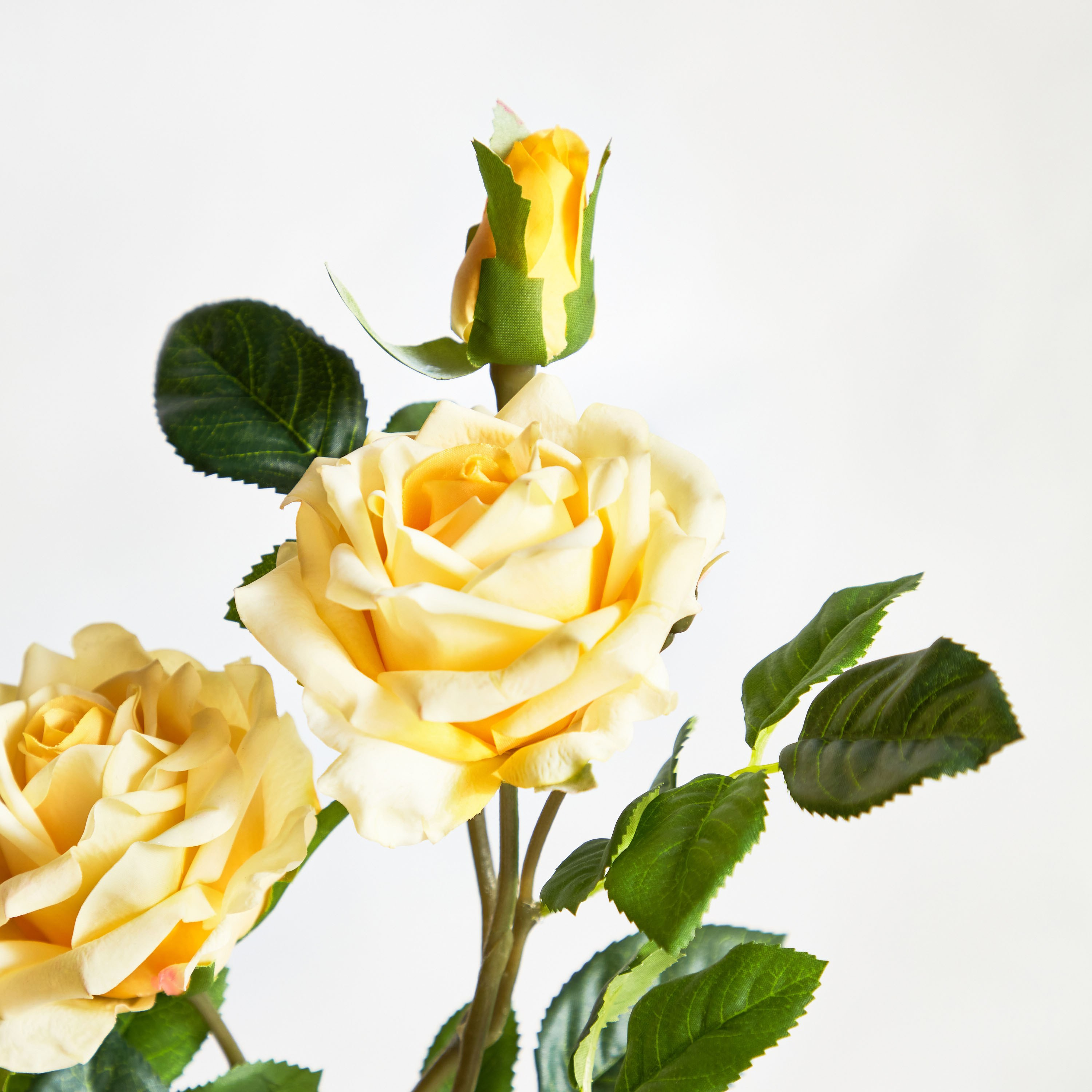Real Touch Pongee Cabbage Rose Flower Stem - 79 cm-household-gardenandoutdoor-artificialflowersandplants-stems-image-2
