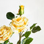 Real Touch Pongee Cabbage Rose Flower Stem - 79 cm-household-gardenandoutdoor-artificialflowersandplants-stems-image-2