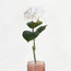 فرع هدرانج - ريل تتش - 42 سم-household-gardenandoutdoor-artificialflowersandplants-stems-image-3