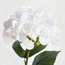 فرع هدرانج - ريل تتش - 42 سم-household-gardenandoutdoor-artificialflowersandplants-stems-image-2