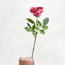 غصن وردة - ريل تتش - 10 سم-household-gardenandoutdoor-artificialflowersandplants-stems-image-3