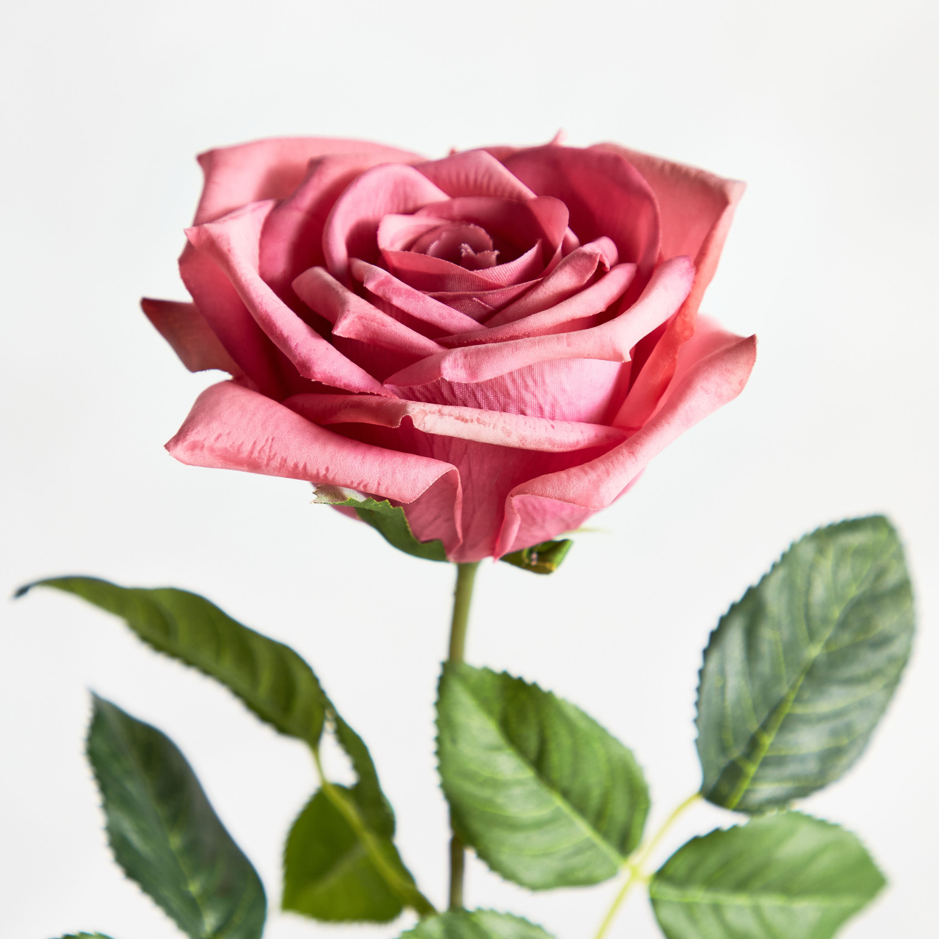 Real Touch Rose Stem - 10 cm-household-gardenandoutdoor-artificialflowersandplants-stems-image-2
