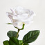 Real Touch Rose Stem - 10 cm-household-gardenandoutdoor-artificialflowersandplants-stems-image-2