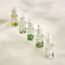 زيت عطري برائحة الأوكالبتوس المنعش - سيرينيتي - 30 مل-binpromo_ALLBANKS_OMN_14032025-image-1