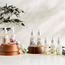 Serenity Rose Fragrance Oil - 30ml-binpromo_ALLBANKS_OMN_14032025-image-3