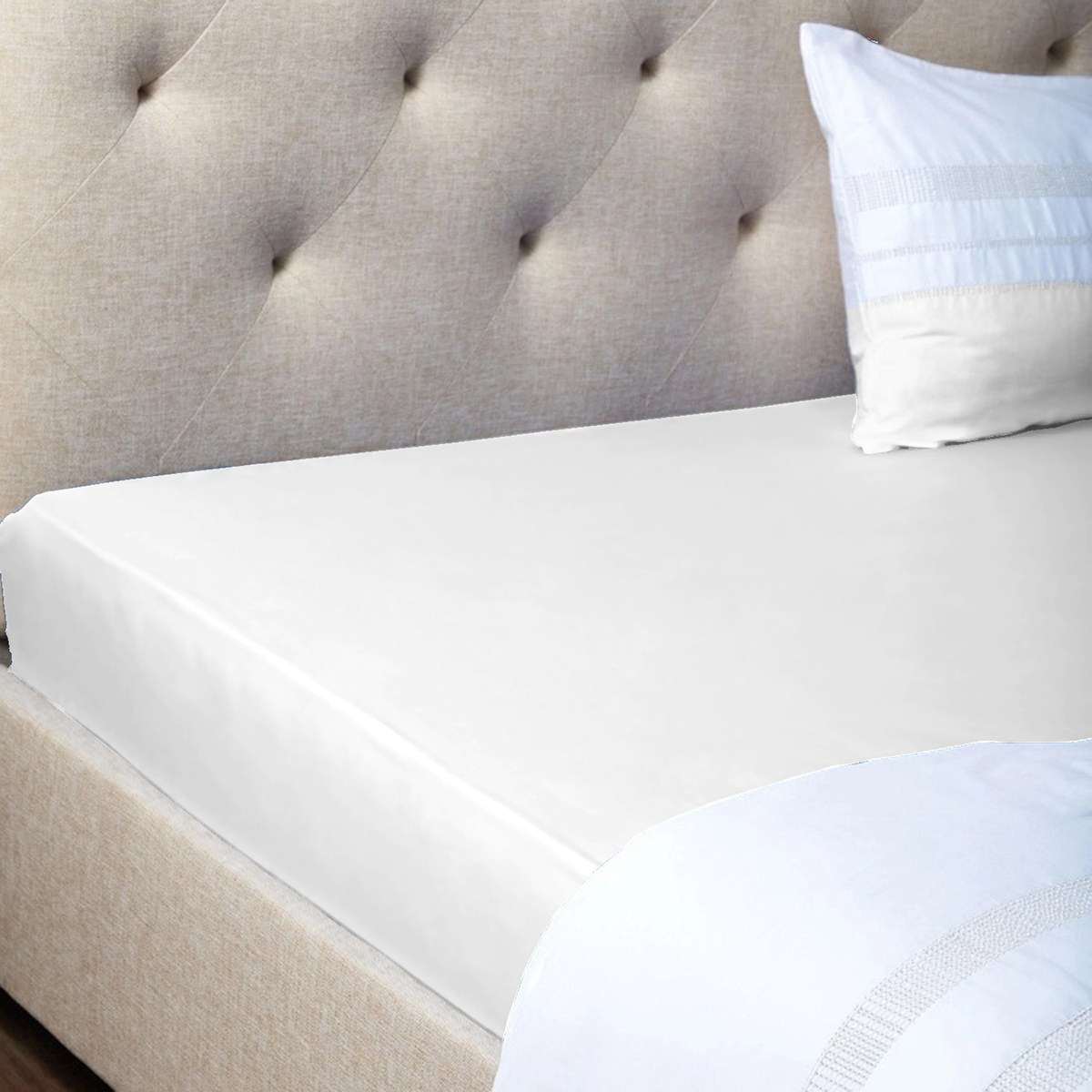 شرشف مطاطي كوين - أمفورا - 160x200 سم-household-bedding-sheetsandpillowcases-fittedsheets-image-3
