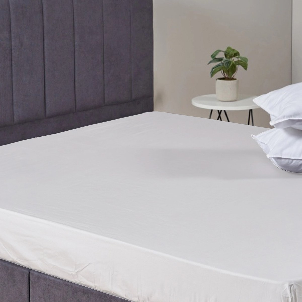 شرشف مطاطي كوين - أمفورا - 160x200 سم-household-bedding-sheetsandpillowcases-fittedsheets-image-2