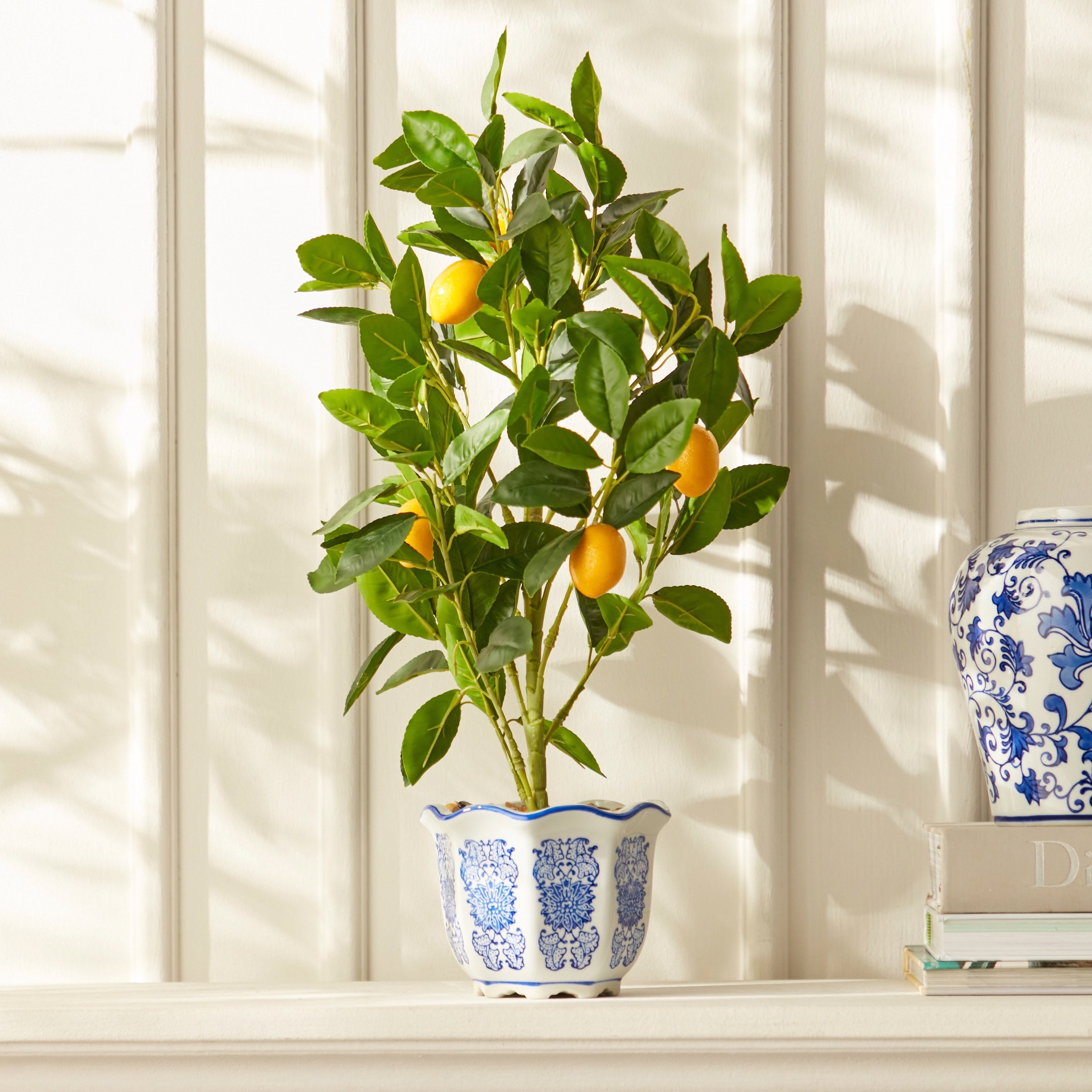 Lemon Plant with Pot - 57 cm
