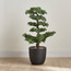 شجرة بونساي - 90 سم-household-gardenandoutdoor-artificialplants-bonsai-image-4